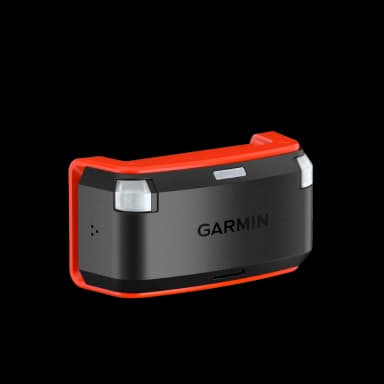 Paws & Signals Alpha