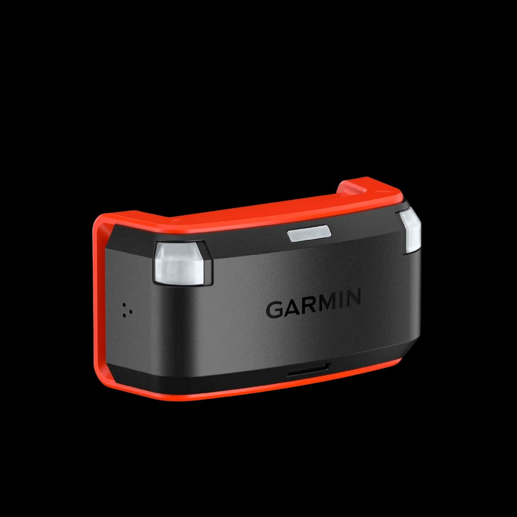 Paws & Signals Alpha