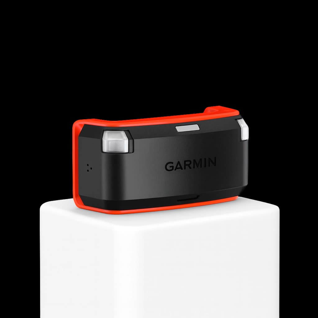 Paws & Signals Alpha