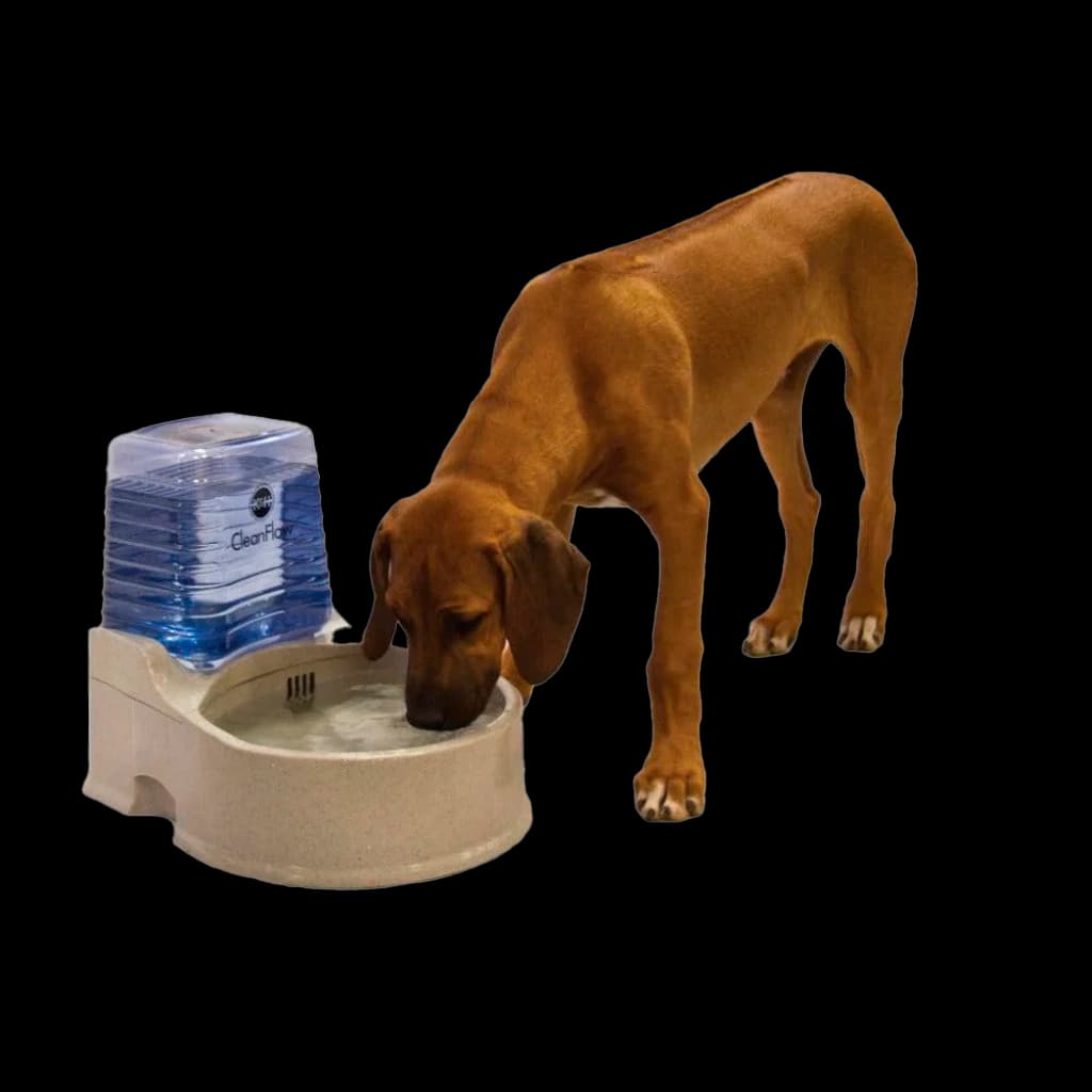 Small Reservoir Pet Bowl