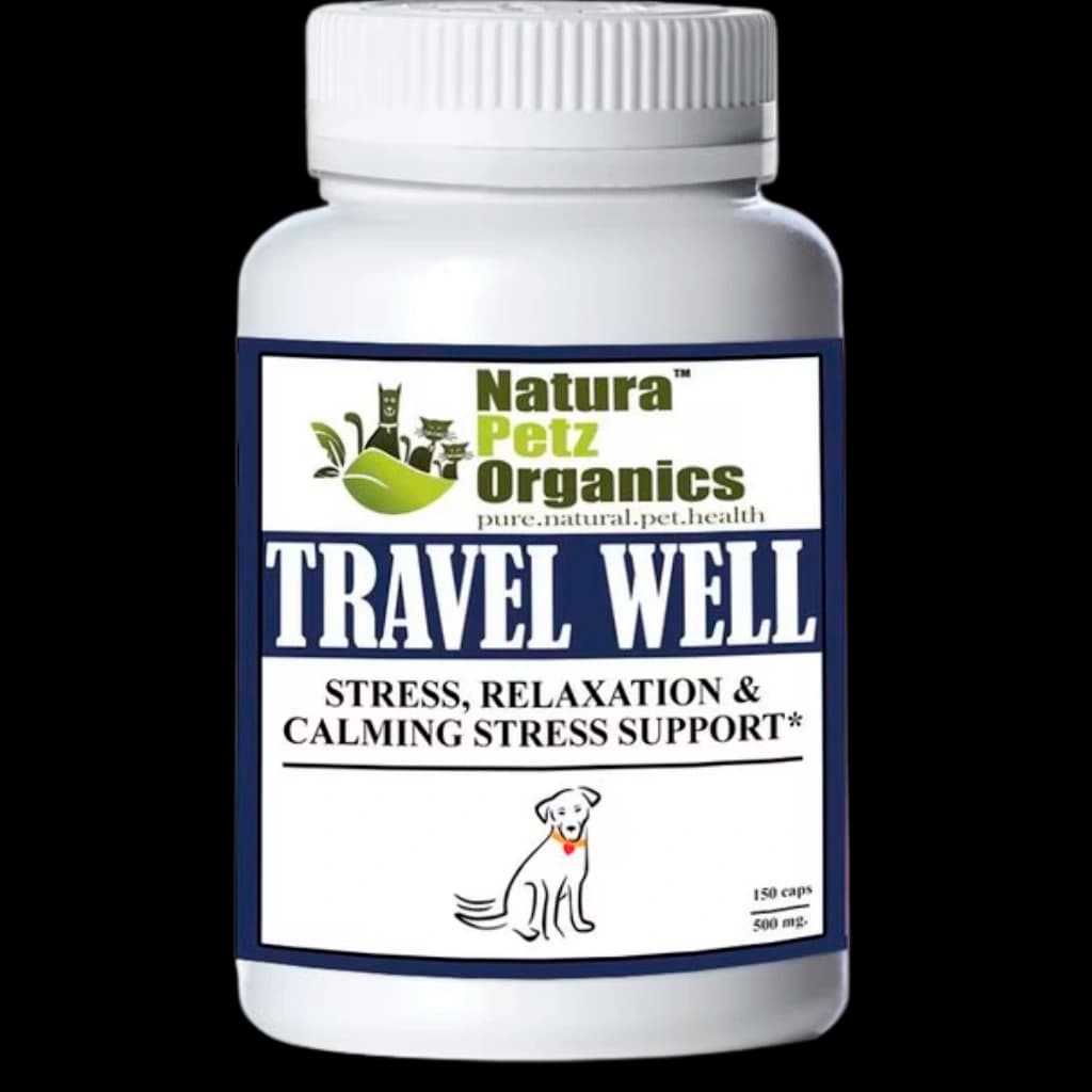 Calm Quest Travel Support