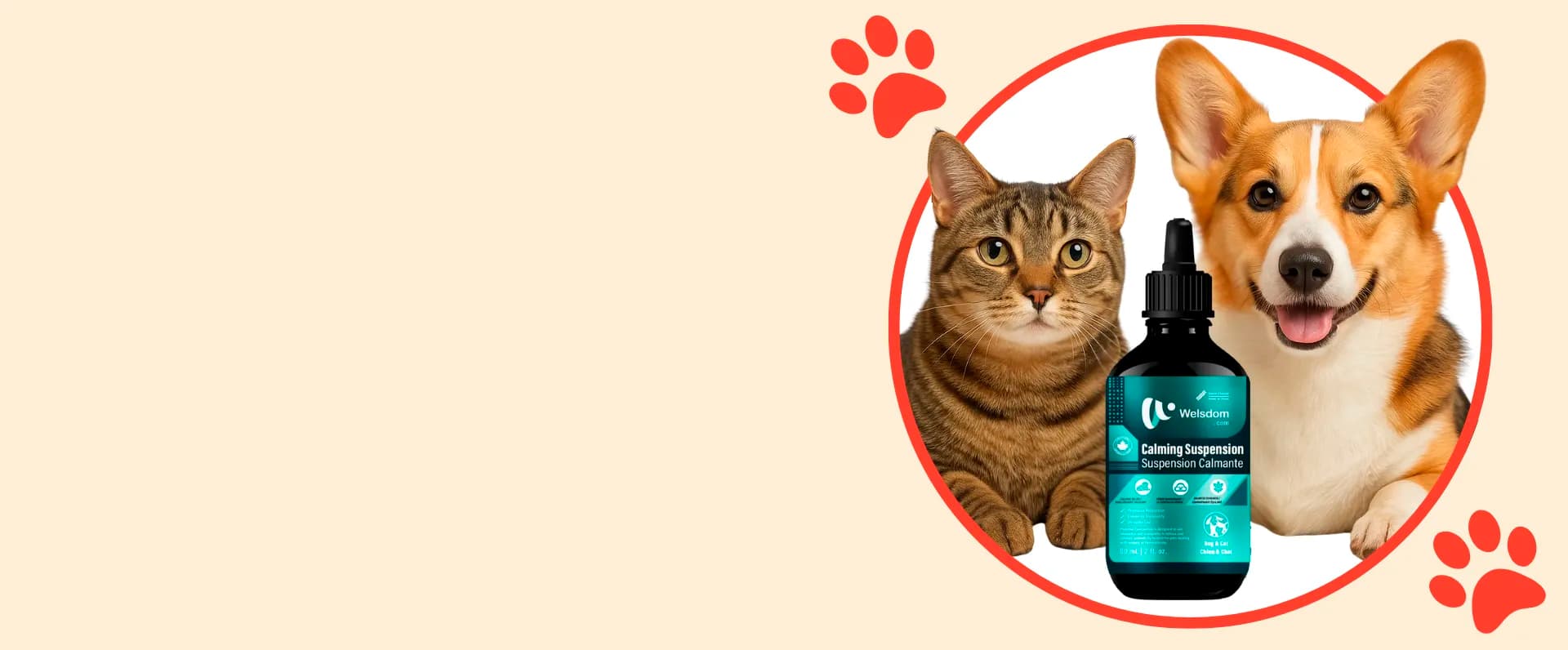  ¡Patitas Tranquilas!